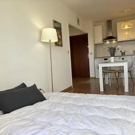 Hye300-1168 2 Pièces Jusqu'a 3 Personnes - Hyères